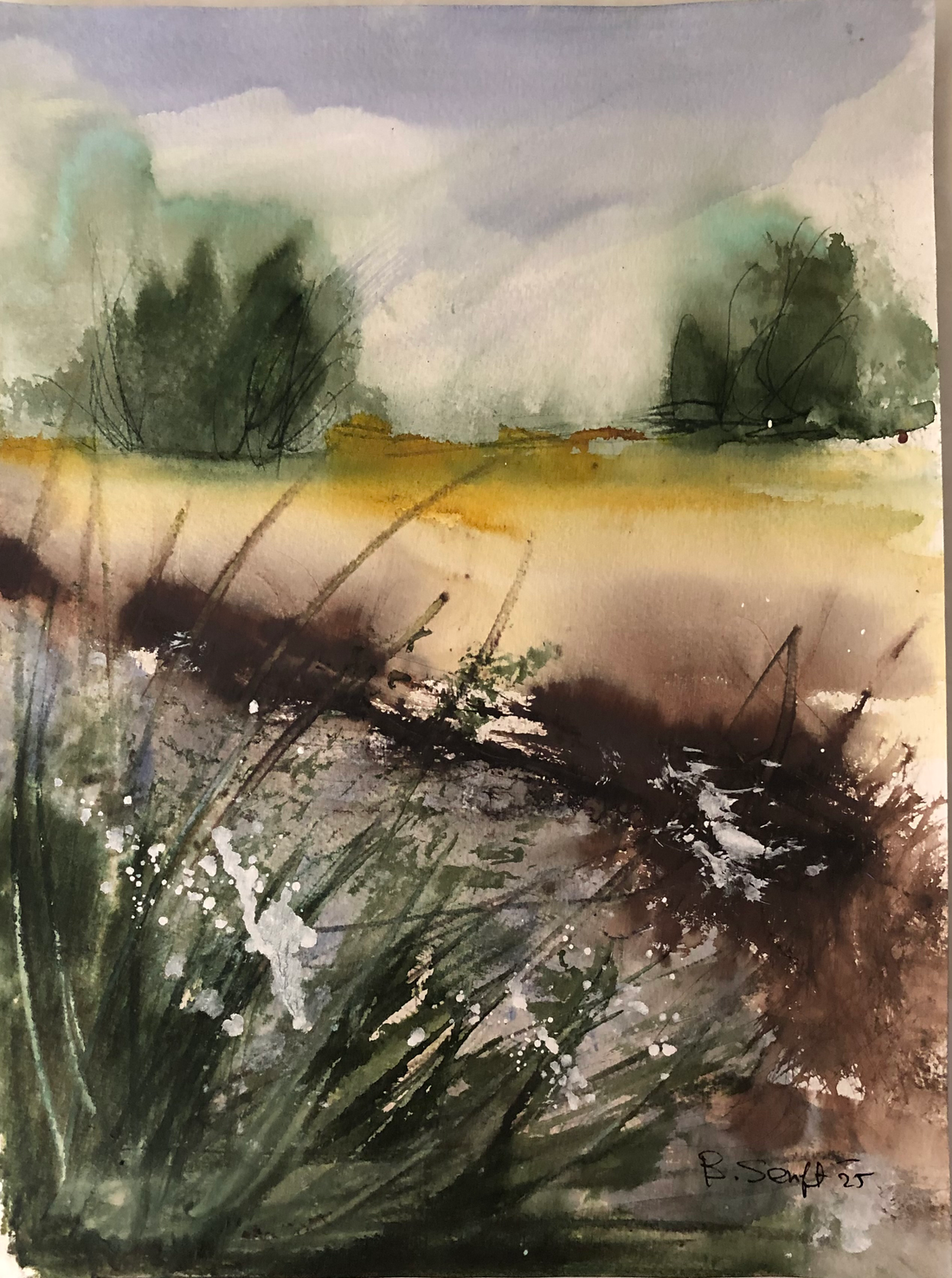 Batia Senft - Through the Reeds