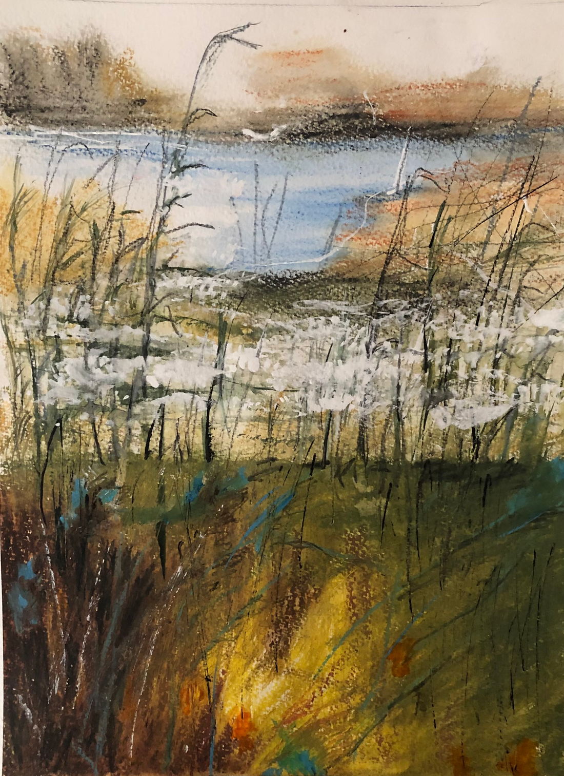 Batia Senft - Where Are the Ducks?