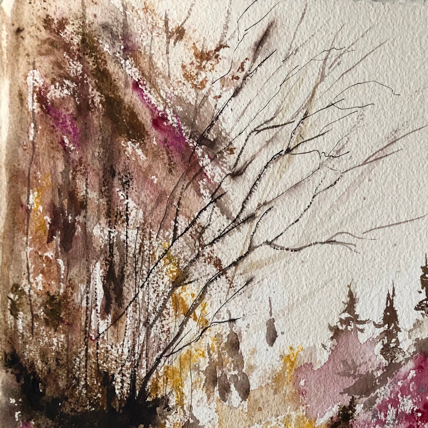 Autumn Up the Mountain