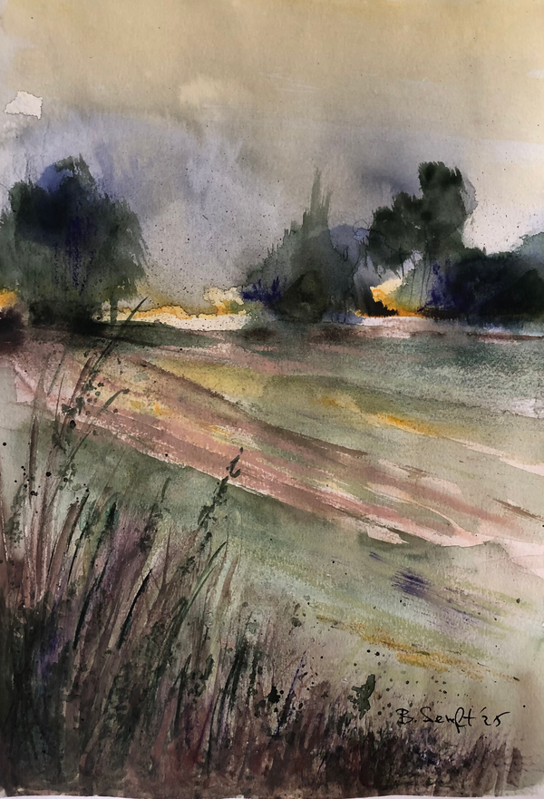 Morning Rural Landscape